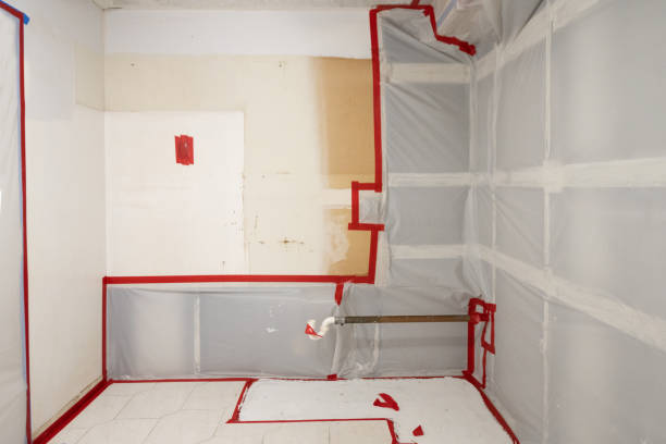 Best Dehumidification Services  in Dunellen, NJ