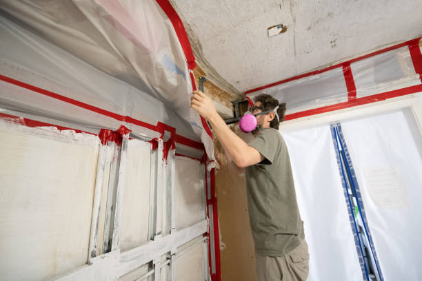 Best Environmental Consulting for Mold Prevention  in Dunellen, NJ