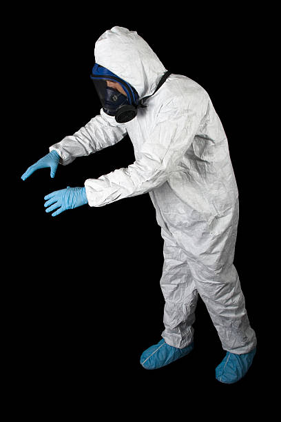 Best Mold Damage Restoration  in Dunellen, NJ