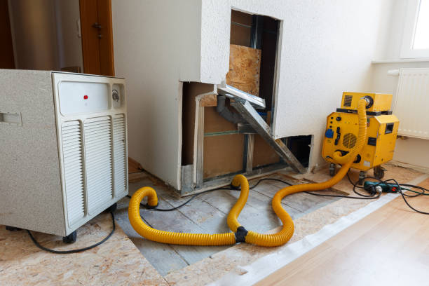 Best Indoor Air Quality Assessment  in Dunellen, NJ