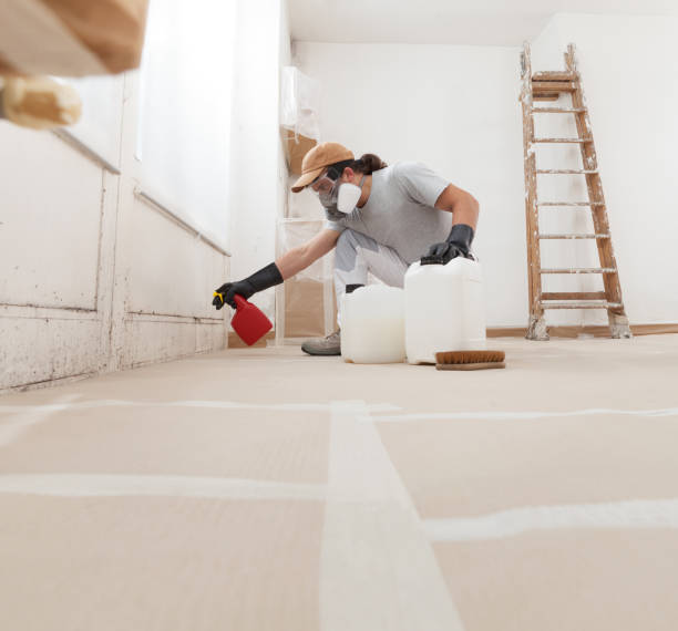 Dunellen, NJ Mold Removal Company