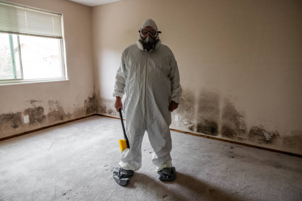 Best Industrial Mold Remediation  in Dunellen, NJ
